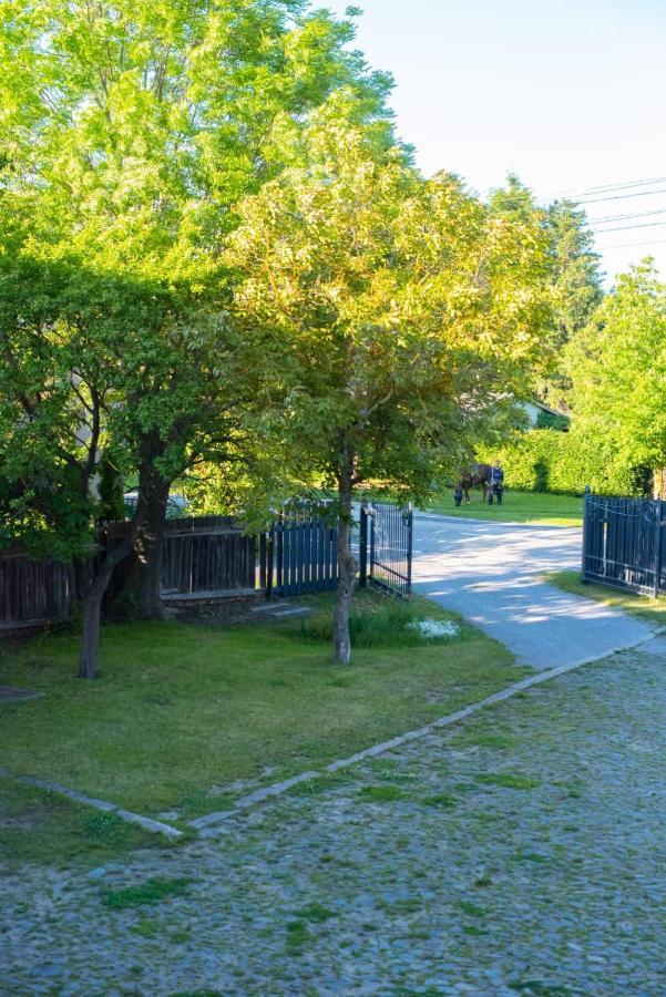 Vila Ferienhaus Brockenblick Hüttenrode Exteriér fotografie